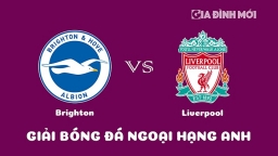 Nhận định Brighton vs Liverpool giải Ngoại hạng Anh hôm nay 14/1