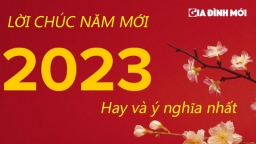 Lời chúc mừng năm mới Quý Mão 2023 hay, ý nghĩa và ấn tượng nhất