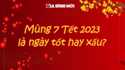 Mùng 7 Tết 2023 là ngày tốt hay xấu, có nên xuất hành không?