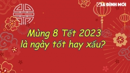 Mùng 8 Tết 2023 là ngày tốt hay xấu, có nên xuất hành không?