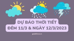 Dự báo thời tiết 12/3/2023: Hà Nội mưa rào và dông