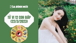 Tử vi 12 con giáp ngày 22/3/2023: Tuổi Mão được sếp khen ngợi