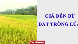 Năm 2023, giá đền bù đất trồng lúa là bao nhiêu?