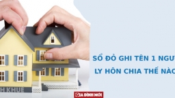 Chỉ một mình chồng đứng tên Sổ đỏ, khi ly hôn có người vợ được chia nhà đất, người chấp nhận tay trắng