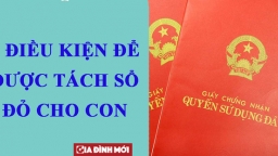 Ai đang định tách Sổ đỏ cho con thì phải biết 5 điều kiện để được tách sổ và 5 loại phí phải nộp năm 2023