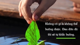 Đến tuổi trung niên, hãy buông bỏ 4 điều này để có một cuộc sống hạnh phúc, an yên