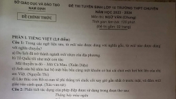 Đề thi, đáp án môn Ngữ văn vào 10 THPT chuyên Lê Hồng Phong năm 2023 đầy đủ nhất