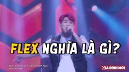 Flex nghĩa là gì? Các cách dùng từ flex trong tiếng Anh