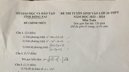 Đề thi môn Toán vào lớp 10 Đồng Nai năm 2023 có đáp án