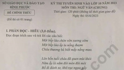 Đề thi môn Ngữ văn vào lớp 10 Bình Phước năm 2023 và đáp án gợi ý