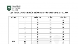 Đáp án môn Tiếng Anh vào lớp 10 Hà Nội năm 2023 tất cả mã đề