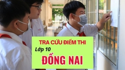 Tra cứu điểm thi vào lớp 10 tỉnh Đồng Nai năm 2023 khi nào, ở đâu?