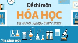 Đề thi môn Hóa học tốt nghiệp THPT 2023 đầy đủ 24 mã đề