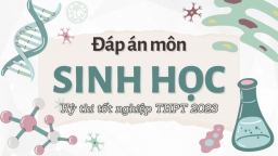 Đáp án môn Sinh học tốt nghiệp THPT 2023 tất cả 24 mã đề