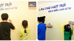 Ngắm nhìn những khoảnh khắc vui hè tại sân chơi của Dulux EasyClean