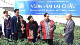 Thái Minh Farm vinh dự đón Thủ tướng Phạm Minh Chính thăm vườn sâm Lai Châu