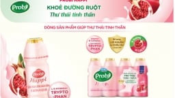 Bạn có biết “hệ thần kinh ruột' giống như bộ não thứ hai của con người?