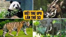 Viết thư UPU lần thứ 53 gửi các thế hệ tương lai: Mong con người sống hòa hợp với muôn loài