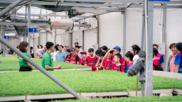 “Hành trình nông sản sạch” – những trải nghiệm thú vị cho học sinh tiểu học