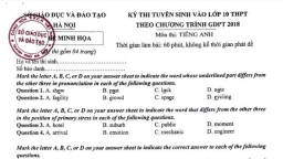 Nhận định đề minh họa môn Tiếng Anh thi vào lớp 10 Hà Nội năm 2025