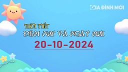 Dự báo thời tiết ngày mai 20/10/2024 trên biển và đất liền