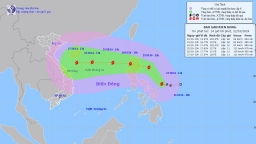 Thông tin mới nhất về bão Trà Mi ngày 22/10/2024