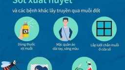 Vì sao sốt xuất huyết tại TP Hồ Chí Minh tăng 136% so với cùng kỳ 2024?