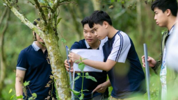 Dấu chân nhỏ, tương lai xanh: Dự án tín chỉ carbon của học sinh Maya