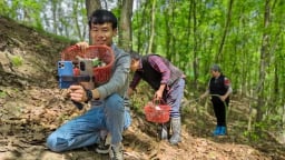 Nông thôn thông minh ở Trung Quốc: Làm giàu từ livestream bán nông sản