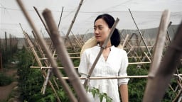 Nữ tiến sĩ bỏ phố về quê làm nông, kiếm 29 tỷ đồng mỗi năm