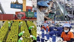 Hàng xuất khẩu Việt Nam bị ảnh hưởng như thế nào trước mức thuế đối ứng của Mỹ?