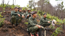 Cỏ Mềm chung tay hồi sinh 6ha rừng tại bản Mầu Thái, Sơn La