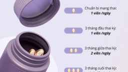 Bầu mấy tháng uống DHA? Liều chuẩn cho từng giai đoạn thai kỳ