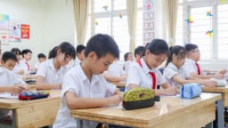 Hà Nội chốt phương án sắp xếp gần 3.000 trường công lập, hoàn thành trước 10/8