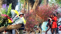 Dự báo thời tiết chiều và đêm ngày 1/2: Bắc Bộ có mưa rải rác, nhiệt độ cao nhất 26 độ C