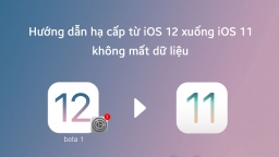 Hướng dẫn hạ cấp iOS 12 về iOS 11 không mất dữ liệu ứng dụng