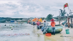 [Nơi tôi sống] Thuở ấy đảo Ngọc hoang sơ lắm