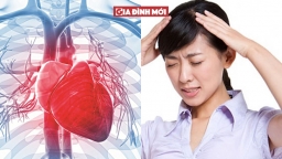 8 dấu hiệu cảnh báo cơ thể bị thiếu máu, cẩn trọng kẻo có ngày ra đi sớm