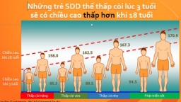 Lần đầu tiên, một đề án Dinh dưỡng người Việt quy mô, chiến lược được công bố