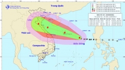 Tin bão khẩn: Bão số 10 đang tiến vào bờ biển Việt Nam