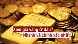 Xem giá vàng hôm nay ở đâu nhanh và chính xác nhất?