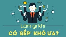 Những tuyệt chiêu làm thay đổi sếp khó ưa thay vì nộp đơn xin nghỉ việc