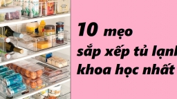 10 mẹo sắp xếp tủ lạnh ngăn nắp và khoa học nhất