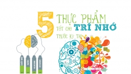 [Infographic] 5 loại thực phẩm tốt cho trí não nên ăn trước kỳ thi