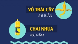 [Infographic] Mất bao lâu để rác thải hàng ngày của bạn phân hủy dưới đại dương?