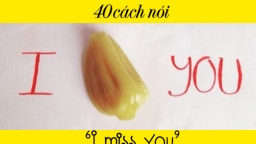 40 cách diễn tả sự nhớ nhung trong tiếng Anh thay cho 'I miss you'