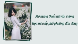 5 địa điểm chụp cúc họa mi Hà Nội và cách tạo dáng chụp cúc họa mi 'chuẩn không cần chỉnh'