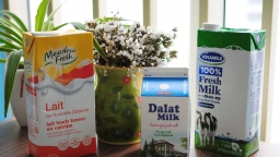 Trên tay 3 loại sữa tươi được nhiều mẹ tin dùng: Vinamilk, Dalat milk và Meadow Fresh