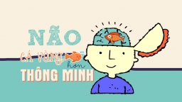 Khoa học chứng minh: Càng quên nhiều thì càng thông minh hơn