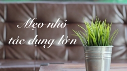 23 mẹo thay đổi lối sống để khỏe mạnh và hạnh phúc hơn trong năm mới